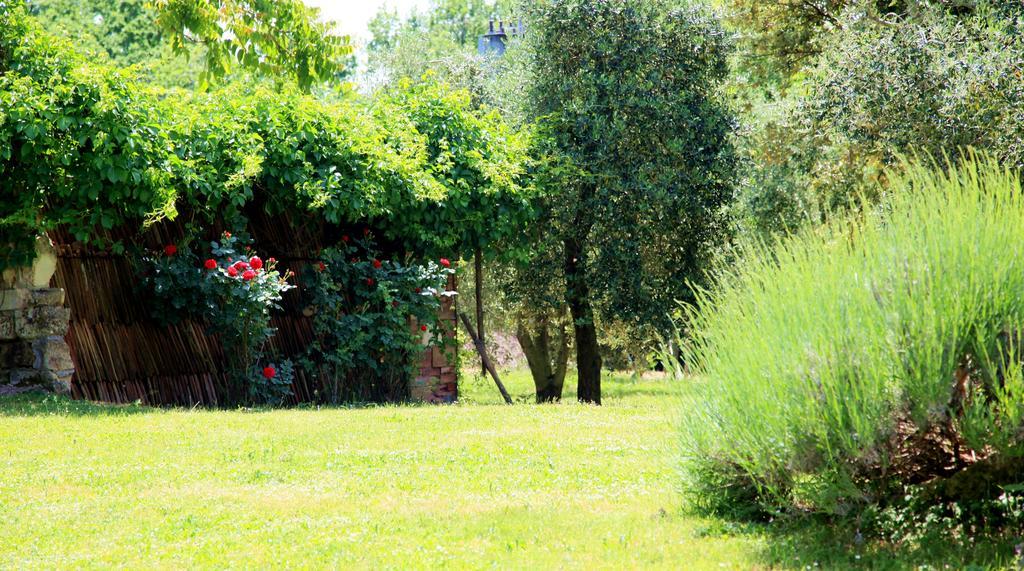 Agriturismo Podere Luchiano Amelia Exterior photo